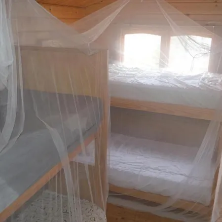 Nuevo Coruna Backpackers 호스텔